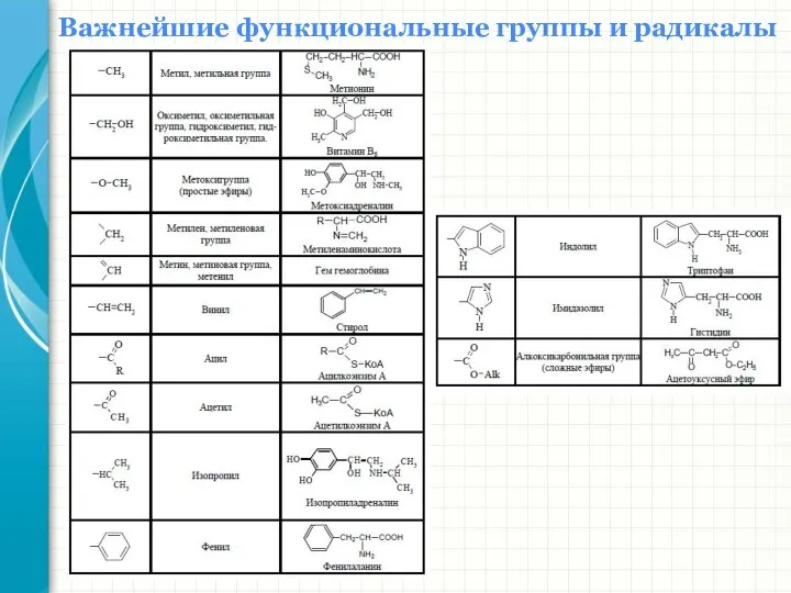 Важнейшие функциональные группы и радикалы