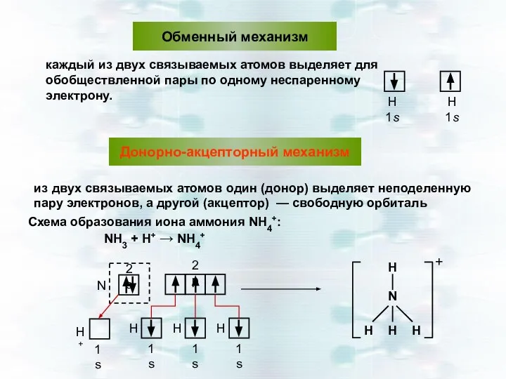 Обменный механизм каждый из двух связываемых атомов выделяет для обобществленной пары