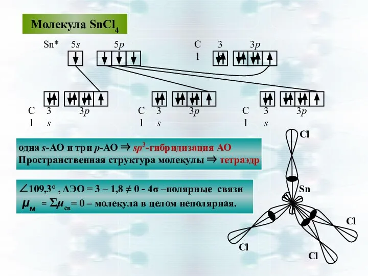 Молекула SnCl4 5р 5s Sn* Cl Cl Cl Cl 3s 3р