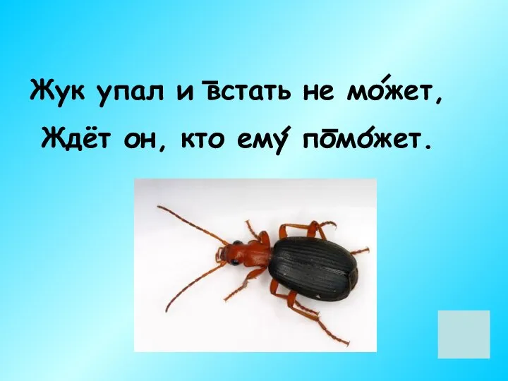 Жук упал и встать не может, Ждёт он, кто ему поможет.