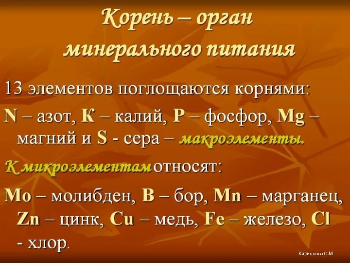 Кириллова С.М.