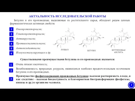 ЛУПЕОЛ БЕТУЛИН БЕТУЛИНОВАЯ КИСЛОТА АКТУАЛЬНОСТЬ ИССЛЕДОВАТЕЛЬСКОЙ РАБОТЫ Бетулин и его производные,