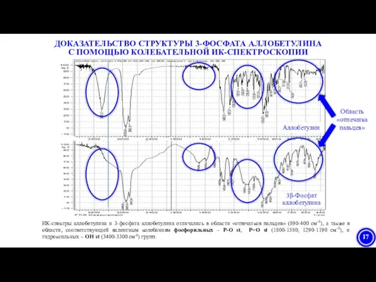 ДОКАЗАТЕЛЬСТВО СТРУКТУРЫ 3-ФОСФАТА АЛЛОБЕТУЛИНА С ПОМОЩЬЮ КОЛЕБАТЕЛЬНОЙ ИК-СПЕКТРОСКОПИИ ИК-спектры аллобетулина и