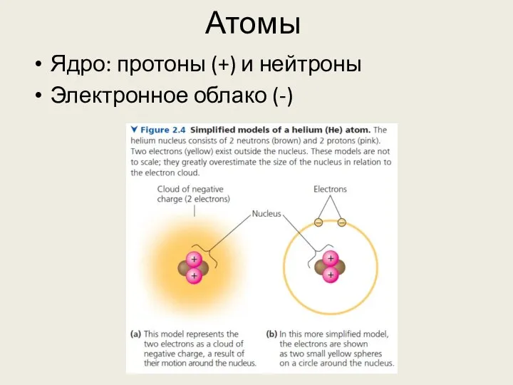 Атомы Ядро: протоны (+) и нейтроны Электронное облако (-)