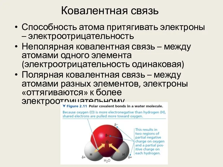 Ковалентная связь Способность атома притягивать электроны – электроотрицательность Неполярная ковалентная связь