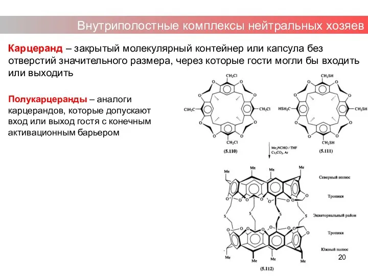 Карцеранд – закрытый молекулярный контейнер или капсула без отверстий значительного размера,