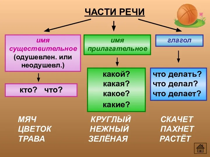 ЧАСТИ РЕЧИ имя существительное (одушевлен. или неодушевл.) кто? что? имя прилагательное