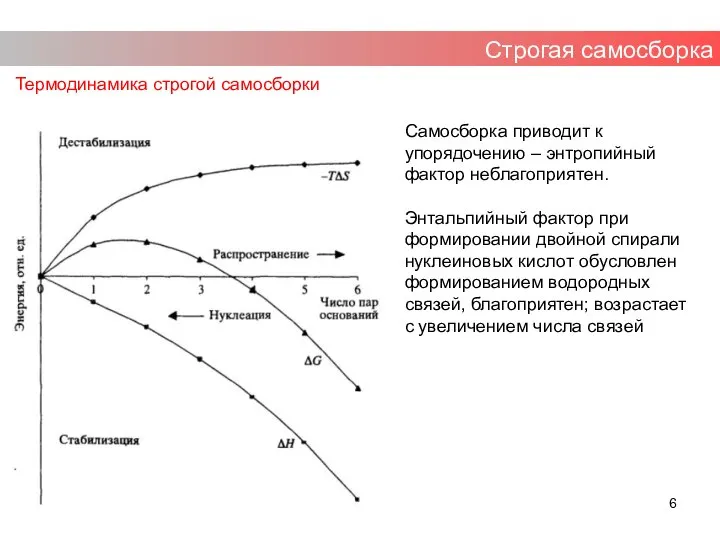 Строгая самосборка Термодинамика строгой самосборки Самосборка приводит к упорядочению – энтропийный