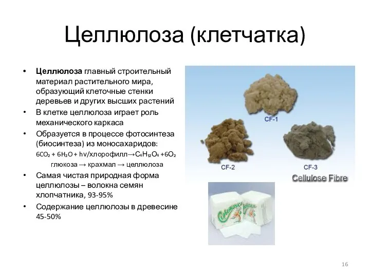 Целлюлоза (клетчатка) Целлюлоза главный строительный материал растительного мира, образующий клеточные стенки