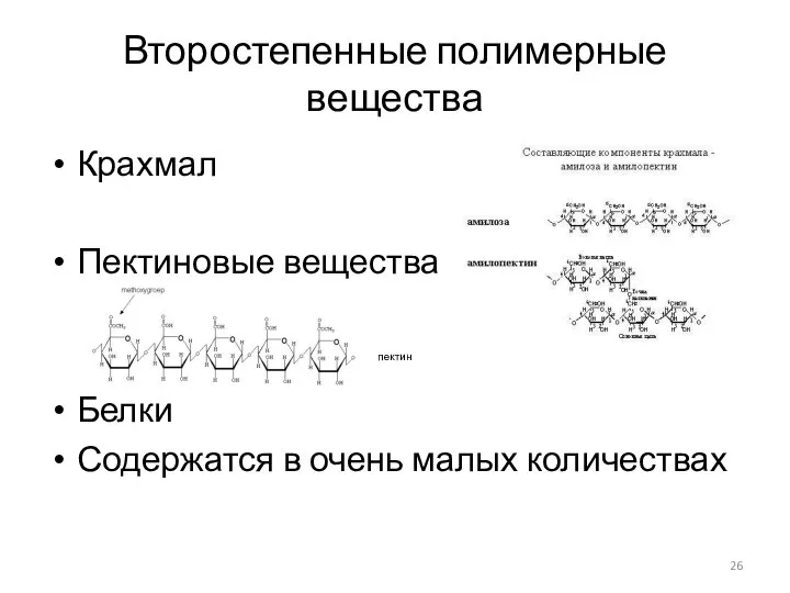 Второстепенные полимерные вещества Крахмал Пектиновые вещества Белки Содержатся в очень малых количествах пектин