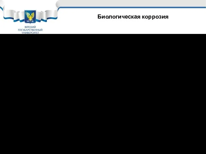 Это коррозия под действием микроорганизмов (бактерий) и макроорганизмов (мыши, жуки, термиты)