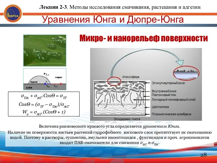 Уравнения Юнга и Дюпре-Юнга Величина равновесного краевого угла определяется уравнением Юнга.