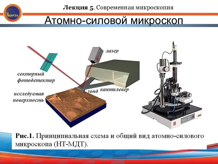 Атомно-силовой микроскоп