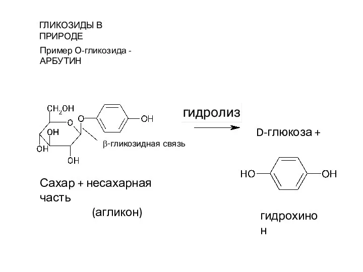 ГЛИКОЗИДЫ В ПРИРОДЕ D-глюкоза + гидрохинон Сахар + несахарная часть (агликон) Пример О-гликозида - АРБУТИН
