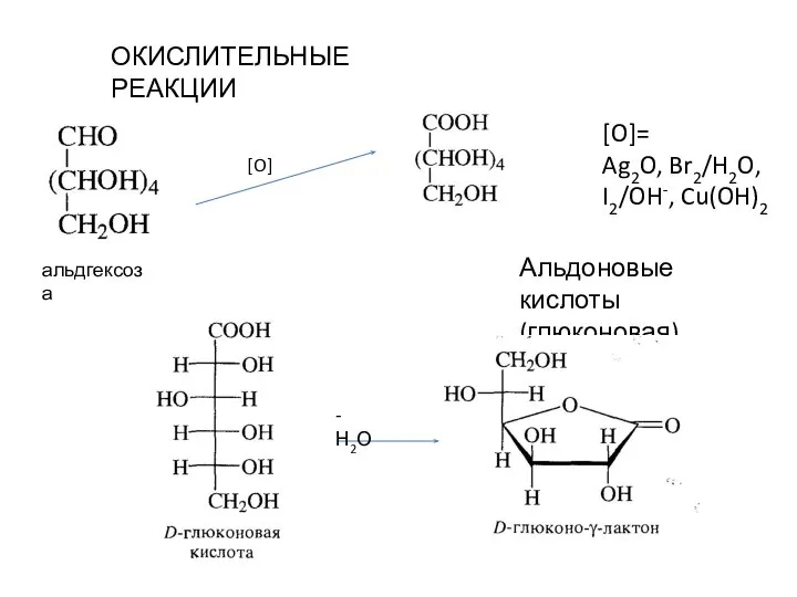 ОКИСЛИТЕЛЬНЫЕ РЕАКЦИИ альдгексоза Альдоновые кислоты (глюконовая) [O]= Ag2O, Br2/H2O, I2/OH-, Cu(OH)2 [O] -Н2О