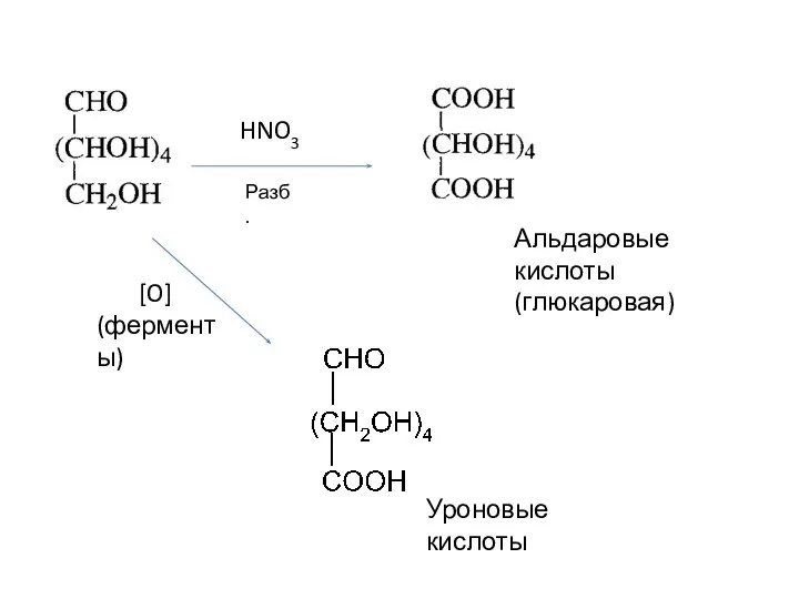 Альдаровые кислоты (глюкаровая) HNO3 [O] (ферменты) Уроновые кислоты Разб.