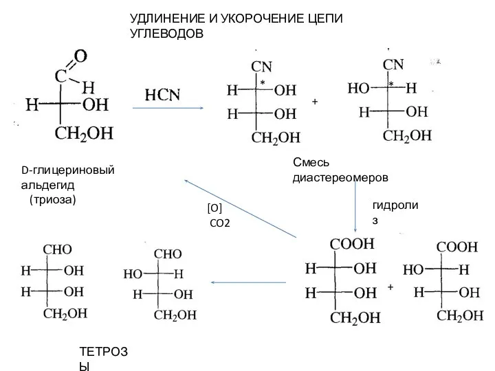 D-глицериновый альдегид (триоза) * * Смесь диастереомеров гидролиз ТЕТРОЗЫ + +