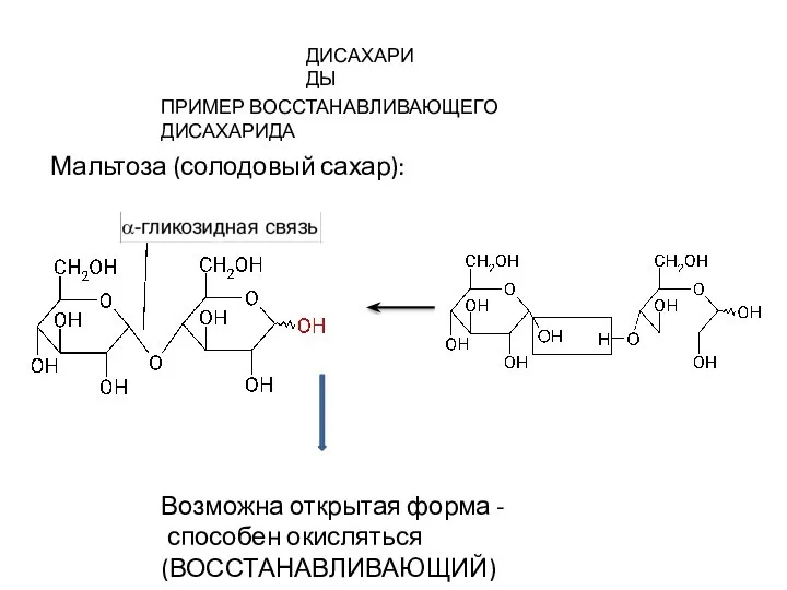 ДИСАХАРИДЫ Мальтоза (солодовый сахар): ПРИМЕР ВОССТАНАВЛИВАЮЩЕГО ДИСАХАРИДА Возможна открытая форма - способен окисляться (ВОССТАНАВЛИВАЮЩИЙ)
