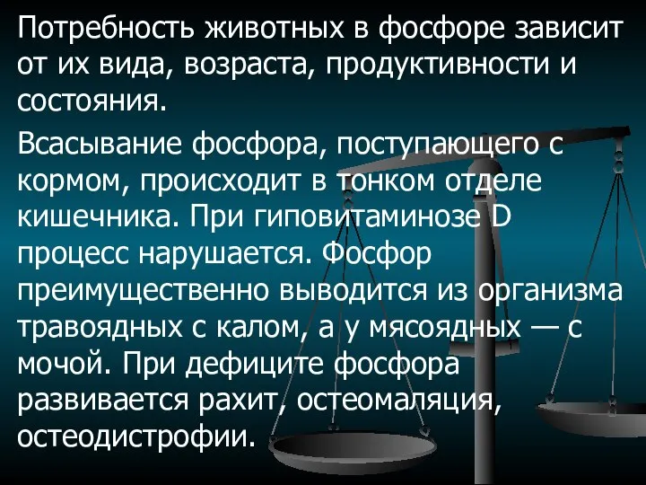 Потребность животных в фосфоре зависит от их вида, возраста, продуктивности и