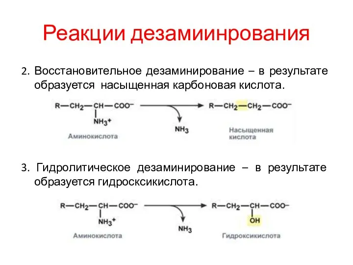 Реакции дезамиинрования 2. Восстановительное дезаминирование – в результате образуется насыщенная карбоновая