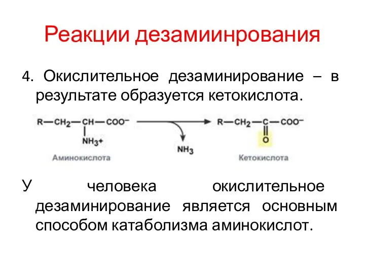 Реакции дезамиинрования 4. Окислительное дезаминирование – в результате образуется кетокислота. У