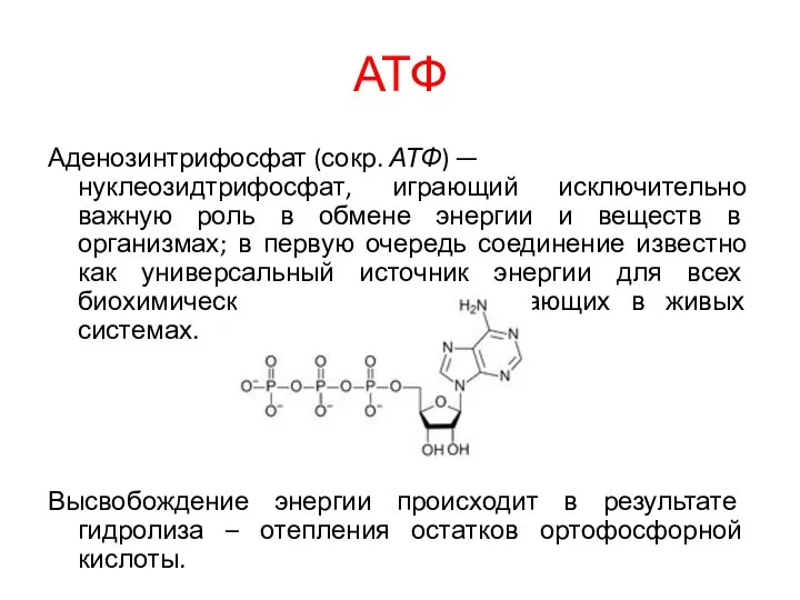 АТФ Аденозинтрифосфат (сокр. АТФ) — нуклеозидтрифосфат, играющий исключительно важную роль в