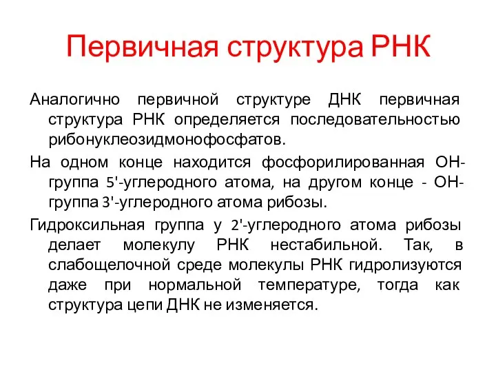 Первичная структура РНК Аналогично первичной структуре ДНК первичная структура РНК определяется