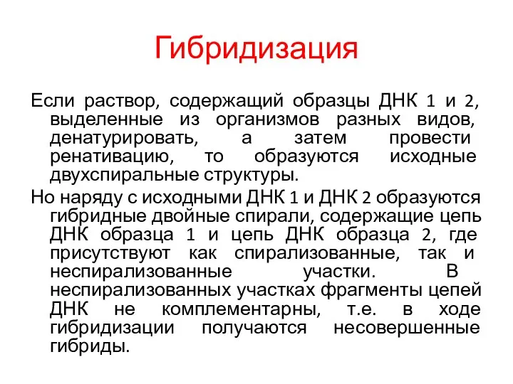 Гибридизация Если раствор, содержащий образцы ДНК 1 и 2, выделенные из