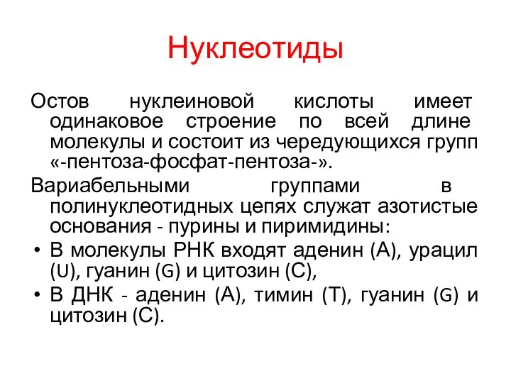 Нуклеотиды Остов нуклеиновой кислоты имеет одинаковое строение по всей длине молекулы