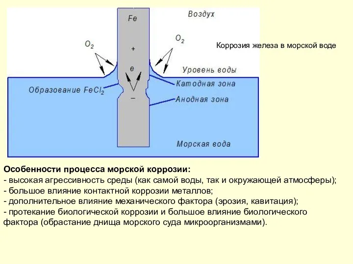 Коррозия железа в морской воде Особенности процесса морской коррозии: - высокая