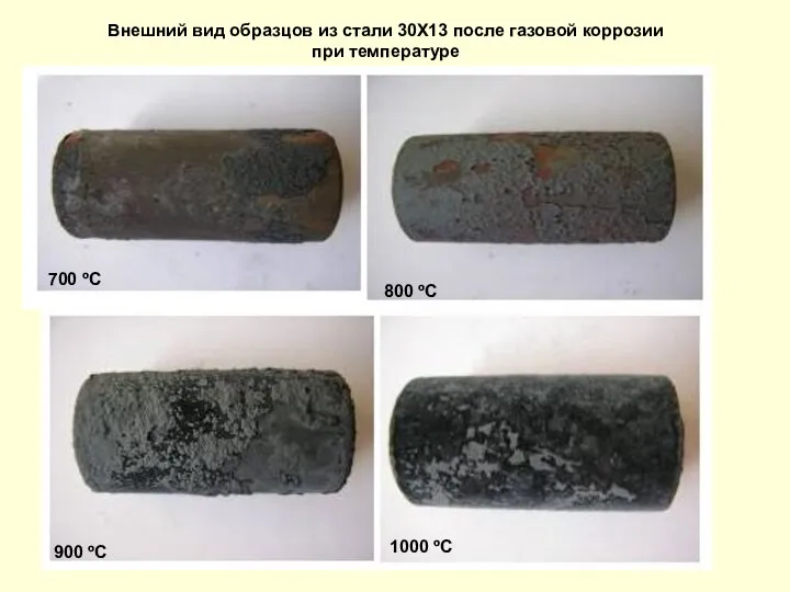 Внешний вид образцов из стали 30Х13 после газовой коррозии при температуре