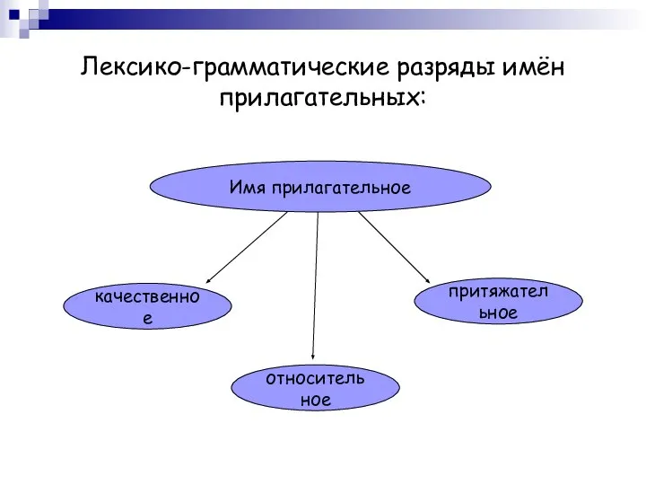 Лексико-грамматические разряды имён прилагательных: Имя прилагательное качественное притяжательное относительное