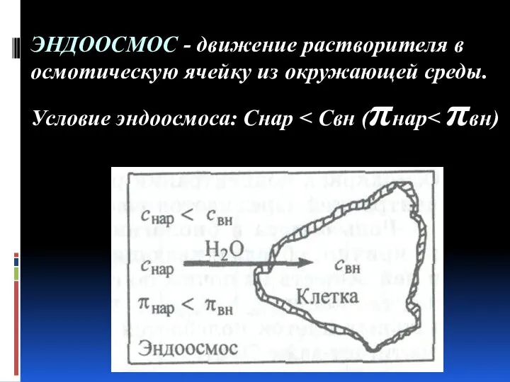 ЭНДООСМОС - движение растворителя в осмотическую ячейку из окружающей среды. Условие эндоосмоса: Снар