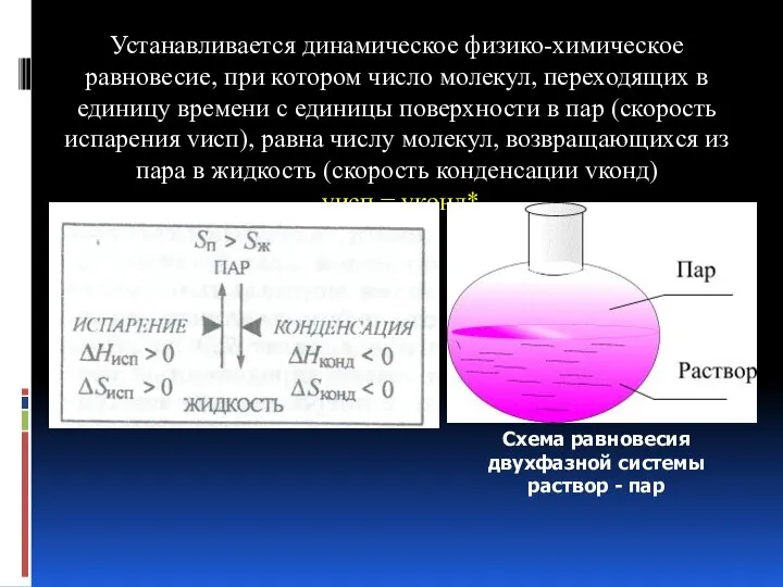 Устанавливается динамическое физико-химическое равновесие, при котором число молекул, переходящих в единицу