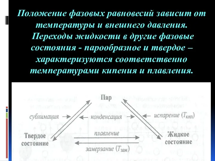 Положение фазовых равновесий зависит от температуры и внешнего давления. Переходы жидкости