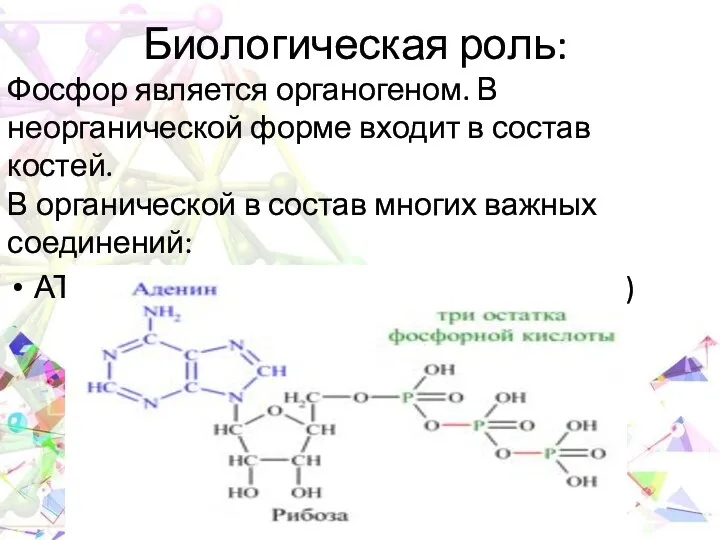 Биологическая роль: Фосфор является органогеном. В неорганической форме входит в состав