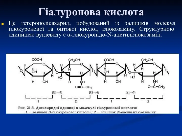 Гіалуронова кислота Це гетерополісахарид, побудований із залишків молекул глюкуронової та оцтової