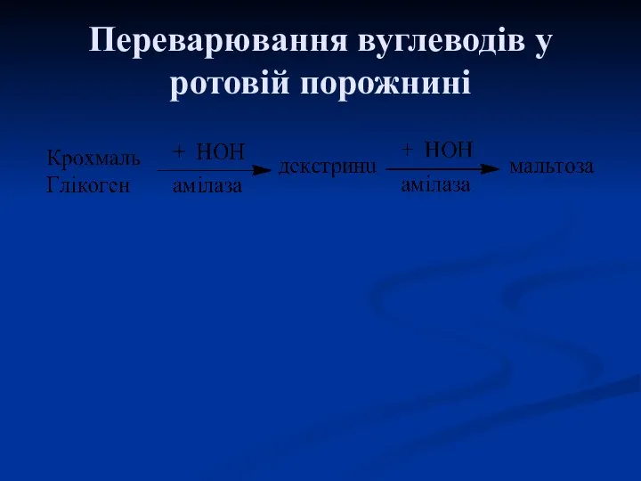 Переварювання вуглеводів у ротовій порожнині