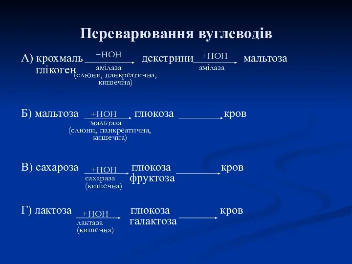 Переварювання вуглеводів А) крохмаль декстрини мальтоза глікоген Б) мальтоза глюкоза кров