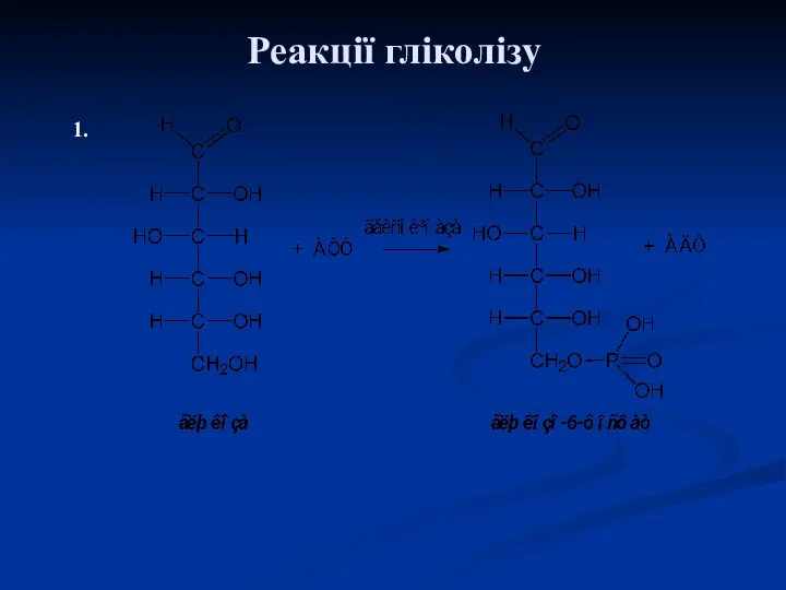 Реакції гліколізу 1.