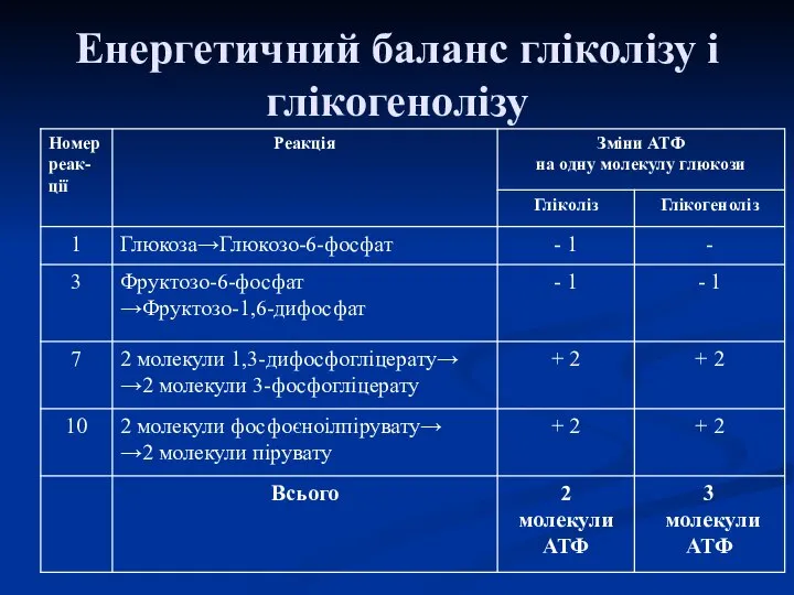 Енергетичний баланс гліколізу і глікогенолізу