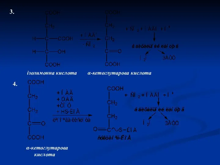 3. ізолимонна кислота α-кетоглутарова кислота 4. α-кетоглутарова кислота