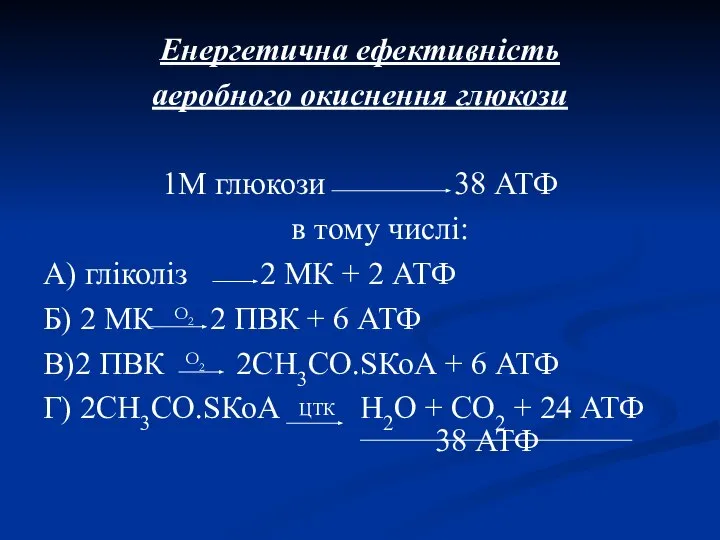 Енергетична ефективність аеробного окиснення глюкози 1М глюкози 38 АТФ в тому