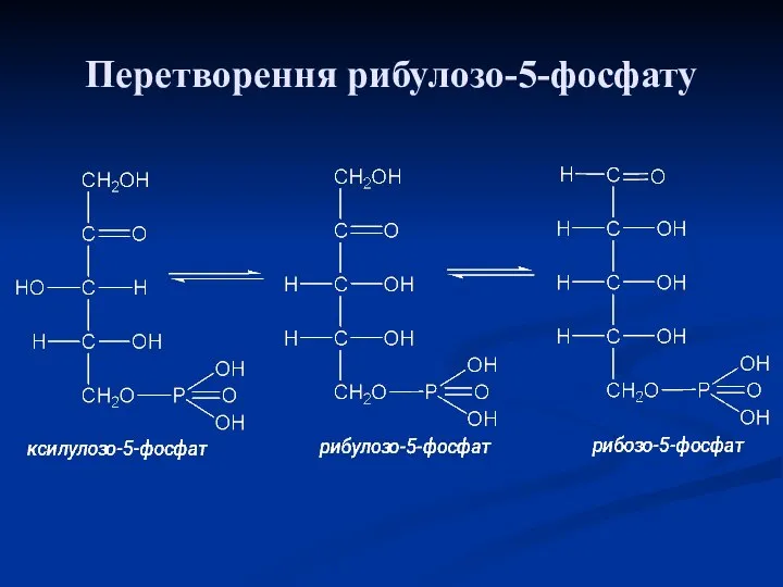 Перетворення рибулозо-5-фосфату