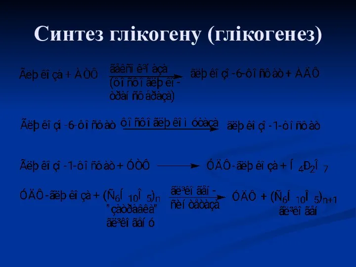 Синтез глікогену (глікогенез)