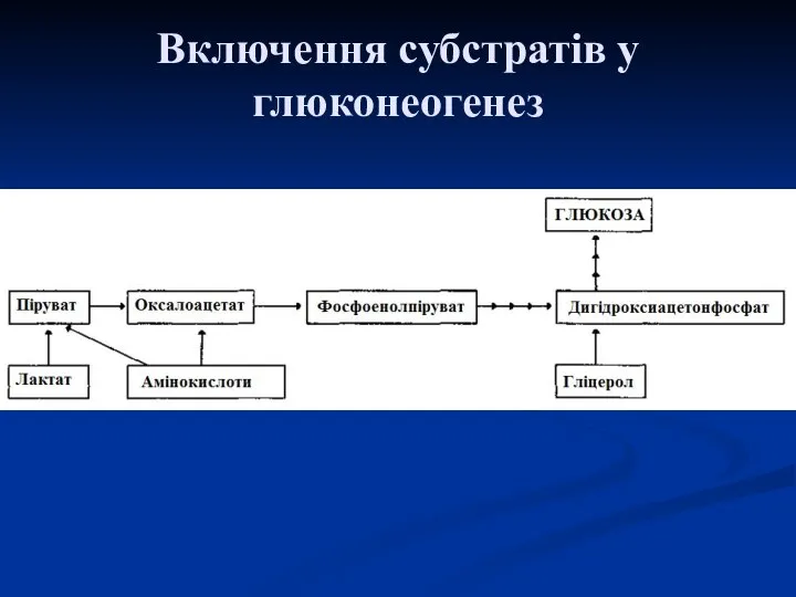 Включення субстратів у глюконеогенез