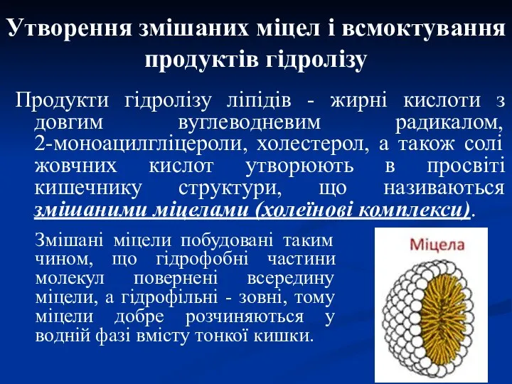 Утворення змішаних міцел і всмоктування продуктів гідролізу Продукти гідролізу ліпідів -