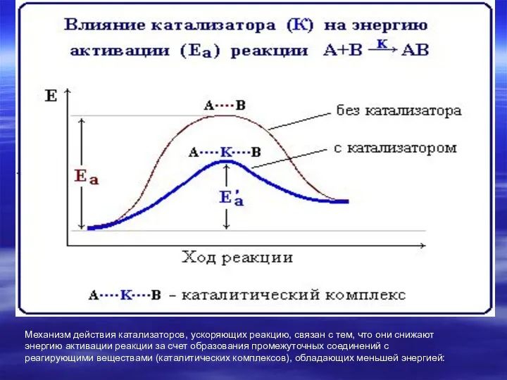 Механизм действия катализаторов, ускоряющих реакцию, связан с тем, что они снижают