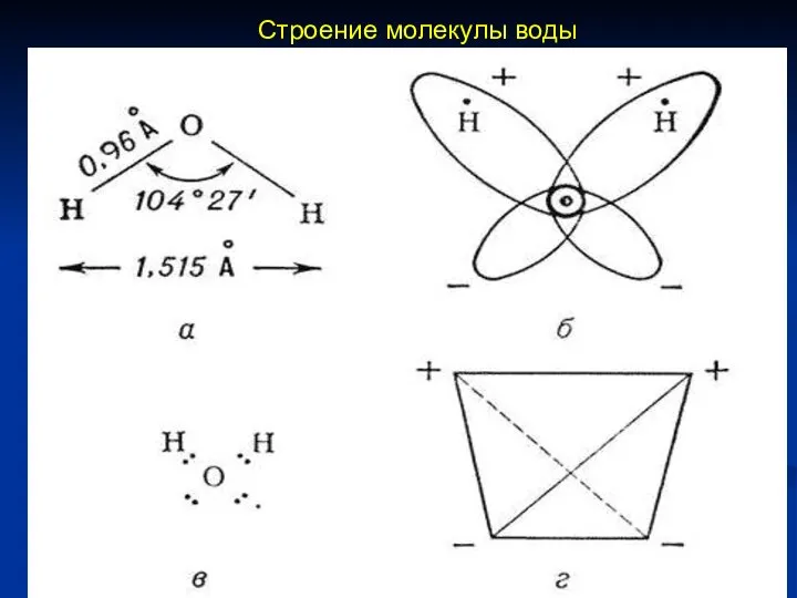 Строение молекулы воды