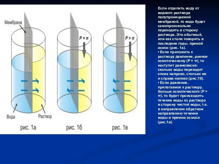 Если отделить воду от водного раствора полупроницаемой мембраной, то вода будет